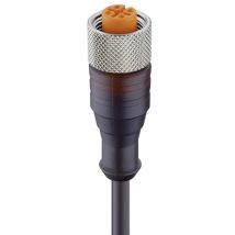 Lumberg Automation - 11374-1 Sensor-/aktor-steckverbinder, Konfektioniert M12 Buchse, Gerade 5.00 M Po