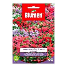 Blumen – Impatiens-Samen Mischung – Aussaatzeitraum: März – Mai – Blütezeit: Mai – November – Blütenhöhe: ca. 40 cm