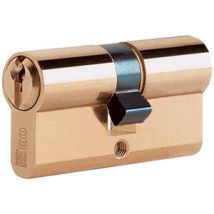 Iseo F5 8209 Cilindro Sagomato 21-21 Ottonato C/3ch