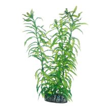 Hobby – Heteranthera – 25 cm – künstliche Aquariumpflanze – Aquarien-Deko
