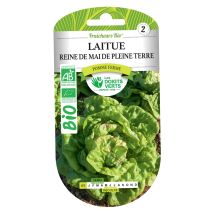 Semi Di Lattuga Regina Di Maggio Da Piena Terra Bio I Dita Verdi