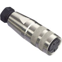 C091 31d005 100 2 Rundstecker Kupplung, Gerade Gesamtpolzahl: 5 Serie (rundsteckverbinder): - Amphenol