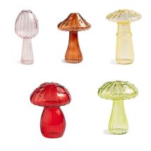 Station De Propagation De Plantes 5 Pièces, Petit Vase En Verre