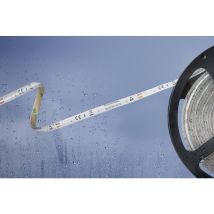 51540434 51540434 Striscia Led Con Estremità Libera 12 V 5 M Bianco Freddo 1 Pz. - Barthelme Basic