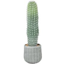 Cactus Artificiel 66 Cm, Plante Décorative Avec Pot, Vert