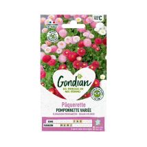 Pã¢querette Pomponnette Variã e - Gondian