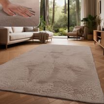 Paco Home Teppich Wohnzimmer Hochflor Softes Kaninchenfell Imitat Kunstfell Taupe 80x150 Cm