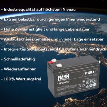 Blei-akku 12fgh36 Pb 12v / 9ah Faston 6,3 - Fiamm