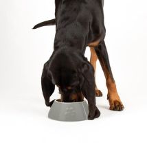 Scruffs - Classic Long Ear Pet Bowl - Pk 4 - 267789