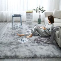 Tapis Moelleux, 160120cm Tapis En Fausse Fourrure Tapis De Sol En Dégradé Décoratif Antidérapant (gris Clair