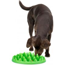 Karlie - Northmate Green Mini - Anti-schling Napf Für Kleine Hunde - Grün