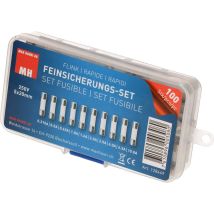 Set di fusibili di precisione 5x20 mm – 10 pezzi 0,315A, 0,5A, 0,63A, 1A, 1,6A, 2A, 2,5A, 4A, 6,3A, 10A – MAX HAURI AG