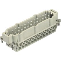 Harting 09330242611 Inserto Maschio Han E 24 + Pe A Vite 1 Pz.