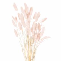 Hill Interiors - Dried Bunny Tail Bunch Of 40 Artificial Plant - H60 Cm - Pale Pink
