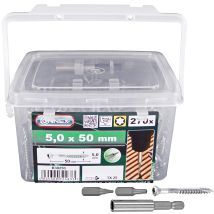 Con:p B30250 Seau De 270 Vis Terrasse 5 X 50 Mm
