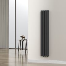 [neu.haus] - Designheizkörper Nore Schwarz 160x30cm Doppellagig 1006w