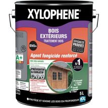 Holzbehandlung Aussen – Farblos – Evo+ – Xylophene – 5l