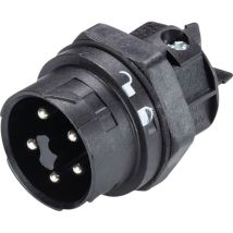 Wieland-electric Rst Mini Schwarzer 4-poliger Stecker 16a