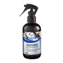 Robbyrob Cockpitpflege 250 Ml Sprühflasche Limette