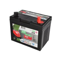 Cartec Rasenmäherbatterie 30ah/300a +rechts Batterie