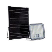 Vito - Proyector Led Solar Con Mando 30w 2-cct Ip65