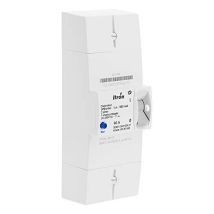 Itron 60a Einphasenautomat 230v Nf C 15-100
