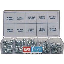 Assortimento ingrassatori 110 pezzi – 80298 – Acciaio zincato lucido – M6, M8, M10, R1/8 – Samoa Hallbauer