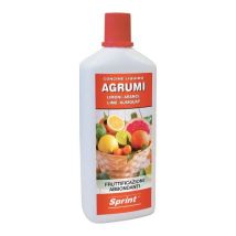 Sprint Agrumi Liquido 1000g