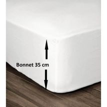 Lovely Home Lenzuola 100% Cotone 140x190 Cm - Tazza 35 Cm - Bianco Hp62011