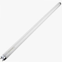 Recambio Tubo 20w Para Mata Insectos Balonga Ref. 001605385
