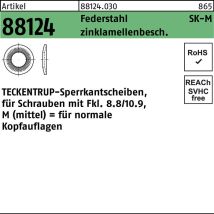 Teckentrup - Sperrkantscheibe R 88124 M 16x32,5 X2,5 Federstahl Zinklamellenbeschichtet