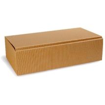 Caja De Regalo Para Botellas 361x188x94mm Onda Abierta Natural Transpak