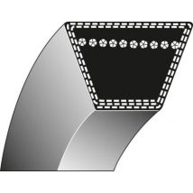 Courroie Trapézoïdale Murray 30" (76 Cm) Pour Tondeuse À Gazon