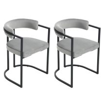 Dining Chairs 2pcs Upholstered In Velvet Modern Leisure Kitchen Chairs For Living Room Restaurant Cafe, Gray, Washon