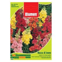 Blumen – Beutel mit einer Mischung aus Zwerglöwenmaulsamen – Blütezeit: Juni - Oktober – Freilandaussaat: April - Juni / August - September