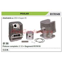 Poulan 250 Super 25 Débroussailleuse Segment Piston Cylindre R170149