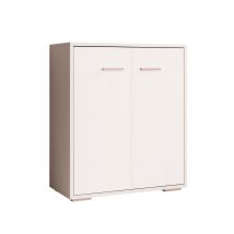 Design Ameublement - Credenza Piccola 2 Ante Armadio Multiuso Mobile Ausiliario 60x71x30cm Modello Lander L2 Colore Bianco