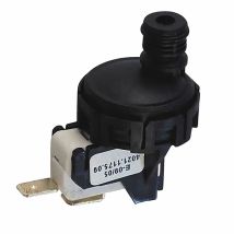 Pressostat H2o Absolu Avec Micro (32700026) - Biasi : Bi1351118