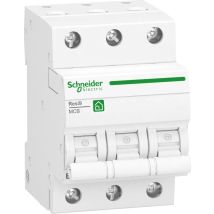 Interruttore Schneider Electric Resi9 Cx 3 Poli 6a