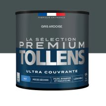 Tollens - Peinture Intérieure Couleurs - La Sélection Premium Mat - Ultra Couvrante - Gris Ardoise 0,5 L - 6m²