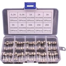 Rapanda – Pack Of 100 Glass Fuses 5x20mm – Current 0.2a To 20a – Voltage 250v – Compartmentalized Box With 10 Amperage Ratings – 20a-rapanda