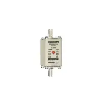 Nh00gg50v125 Low Voltage Hrc Fuse Gl-gg 125a 500v - Mersen