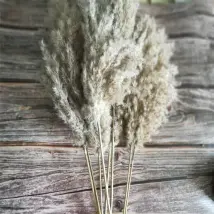 Yoyaxi - 20pcs Small Dried Pampas Grass Natural Decor Phragmites Communis Real Wedding Flower Bouquet