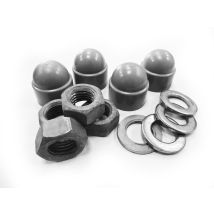 Fondations Rosa 4008 Nuts Durables Fiables