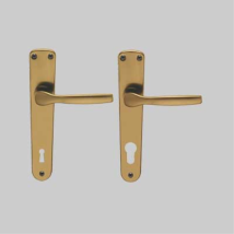 Maniglia 'ginevra' Con Placca Foro Patent - Colore Argento Brialma
