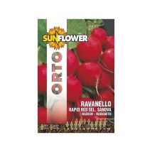 Semillas de Rábano Rápido Rojo – 10 g – Garantía de germinación 3 años