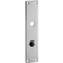 Placa de puerta 220 WC Acero inoxidable Mate 54mm 250mm Grosor 8mm Distancia 78mm