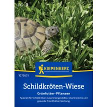 Kiepenkerl Saatgut Schildkröten-mischung Grünfutter-pflanzen Für Ca. 1-2 M²