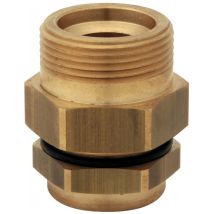 Rückplattenmale Cy Dn 20 G 1'