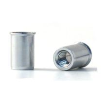 Bralo - Tuerca Remach En 10016 M-05 C/baja Ac Cinc 500 Pz